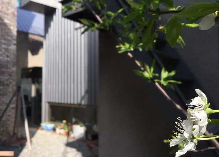 Hostel Inside